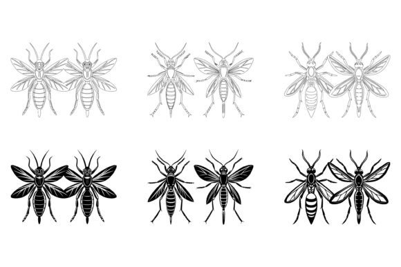 Alien Sci-fi Insect Illustrations — A Complete Guide for Designers and Creators