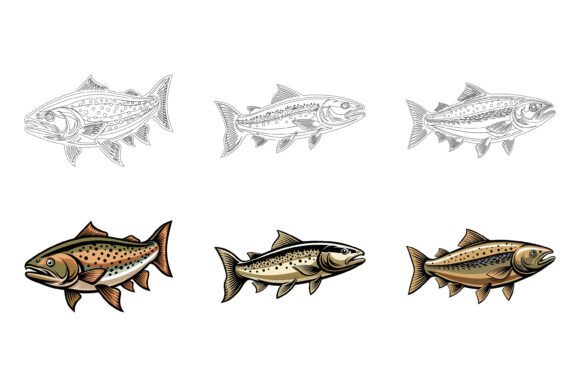 Evaluating Fish Vector Illustration Sets: A Practical Guide